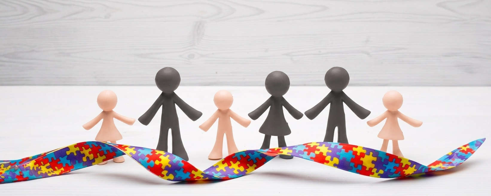 Destaque Atendimento Inclusivo